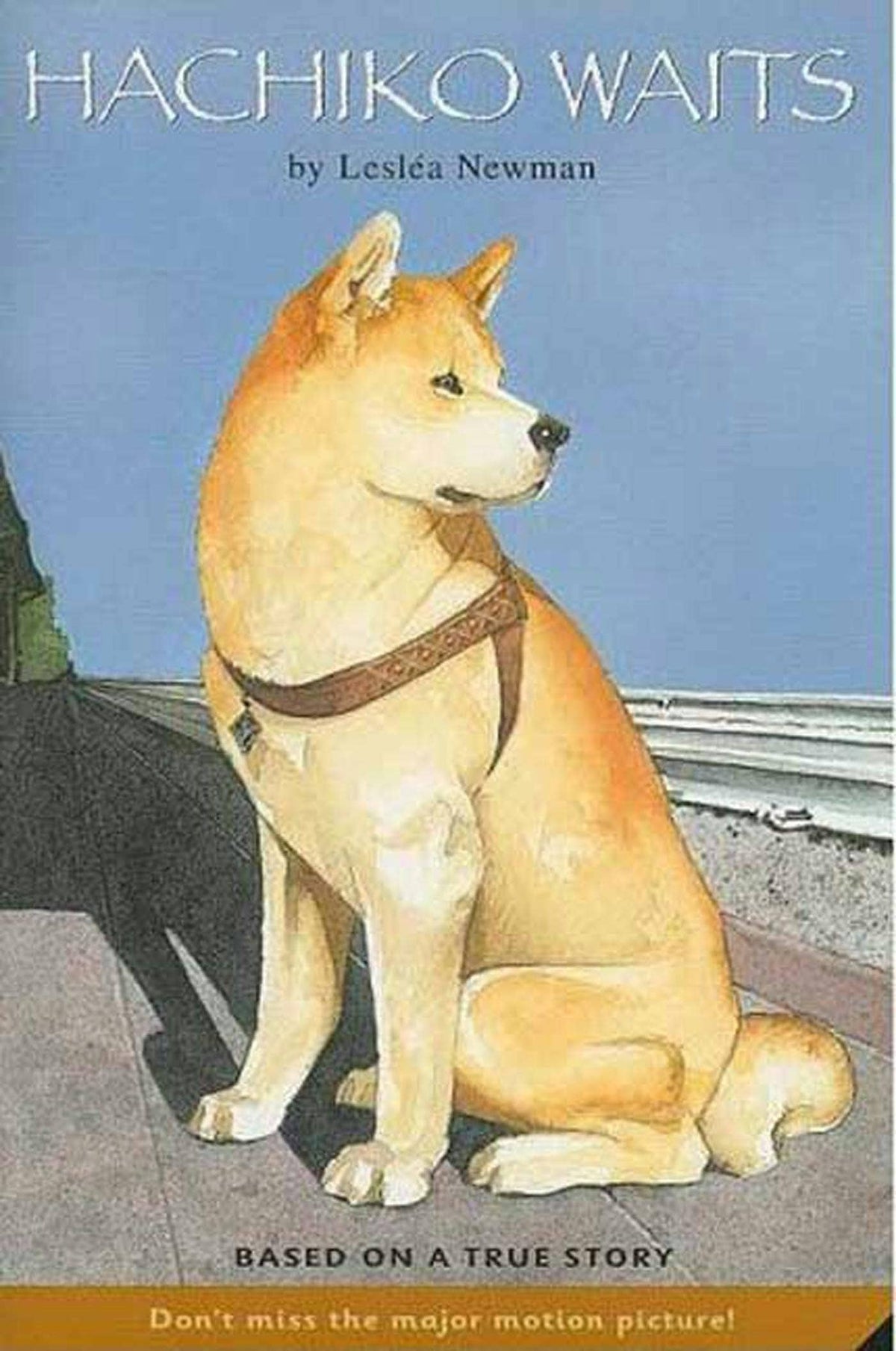 Hachiko Waits Based On A True Story