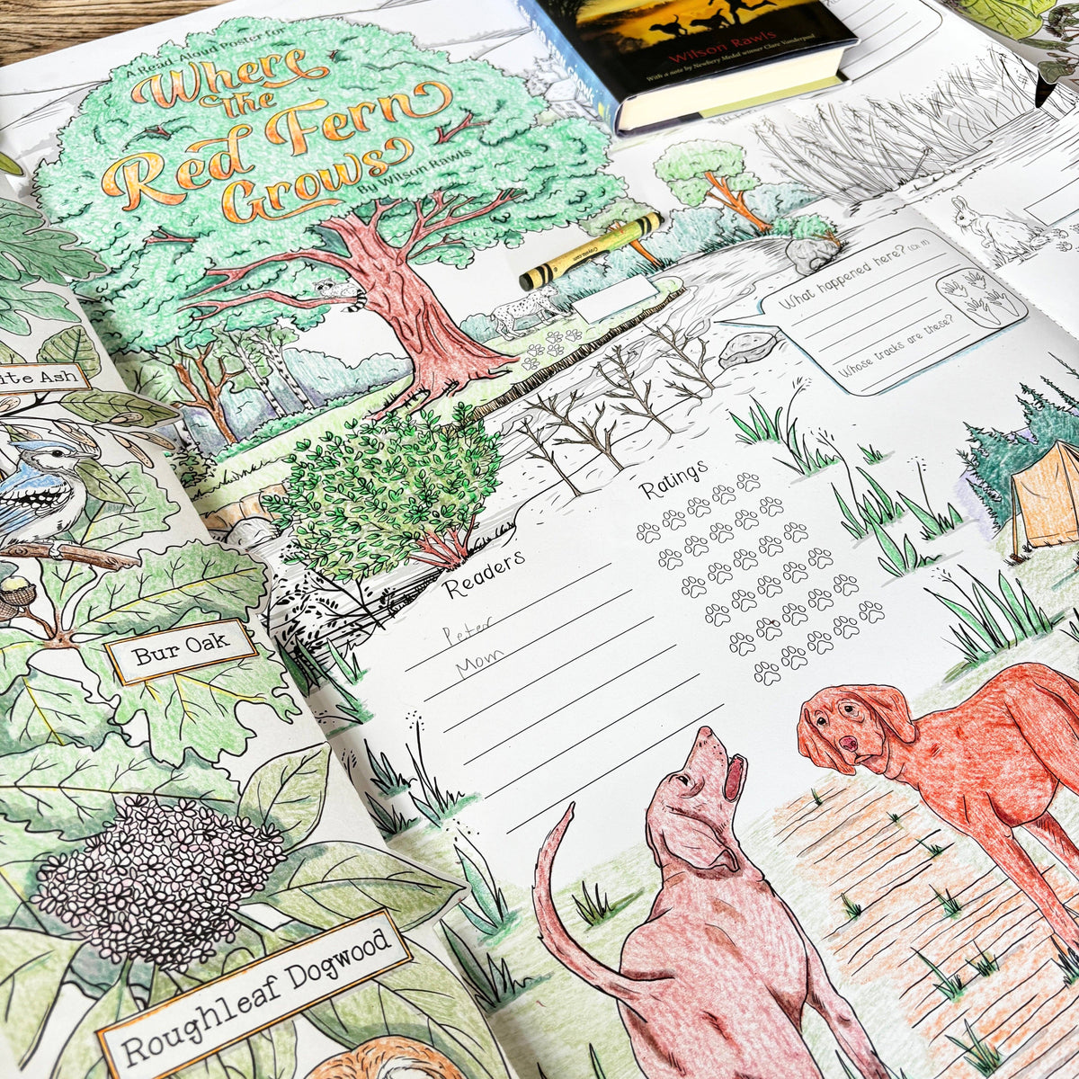 Where the Red Fern Grows Read-Aloud Poster