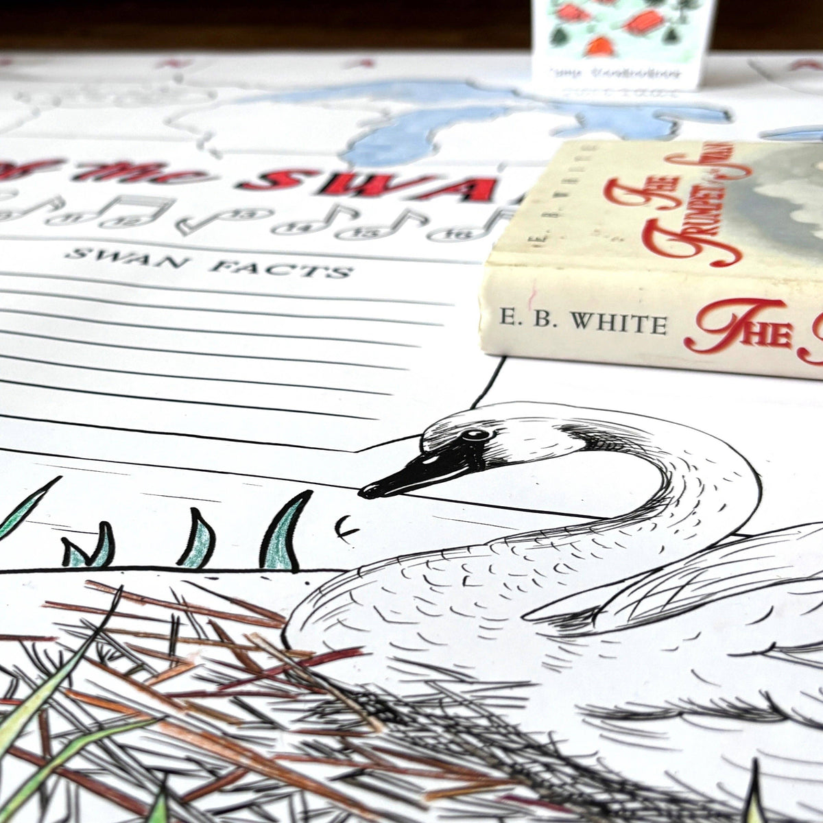 The Trumpet of the Swan Read-Aloud Poster